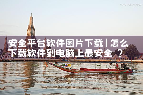 安全平台软件图片下载|P站专业版