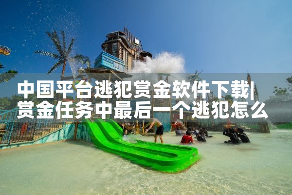 中国平台逃犯赏金软件下载|P站专业版