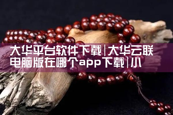 大华平台软件下载|小蓝视频