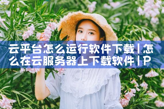 云平台怎么运行软件下载|P站专业版