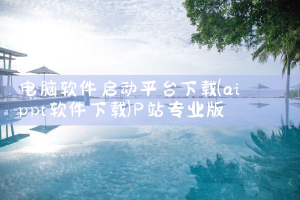 电脑软件启动平台下载|P站专业版
