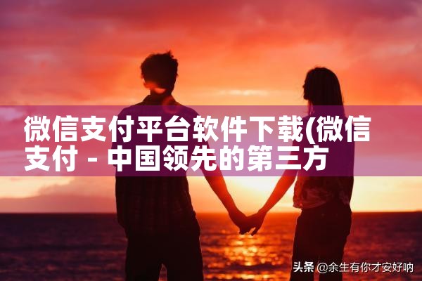 微信支付平台软件下载|糖心Vlog