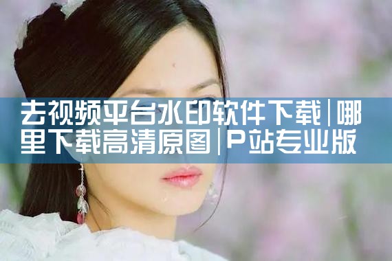 去视频平台水印软件下载|P站专业版