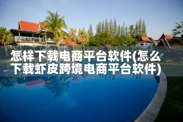 怎样下载电商平台软件|MR好色