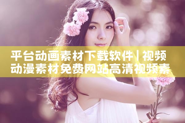 平台动画素材下载软件|MR好色