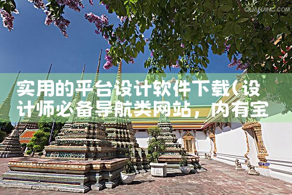 实用的平台设计软件下载|P站专业版