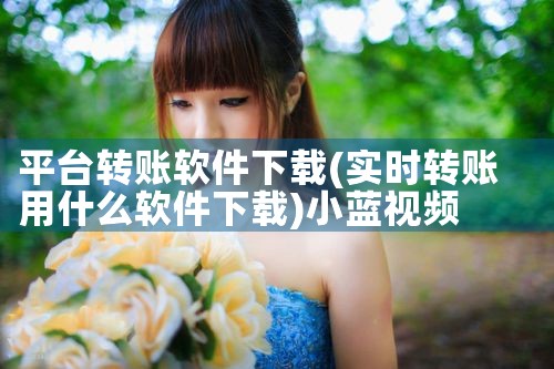 平台转账软件下载|小蓝视频