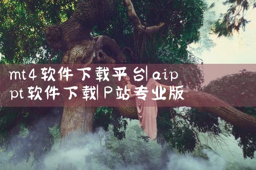 mt4软件下载平台|P站专业版