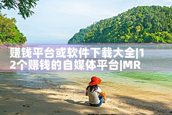 赚钱平台或软件下载大全|MR好色