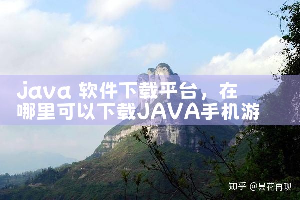 java 软件下载平台|小蓝视频