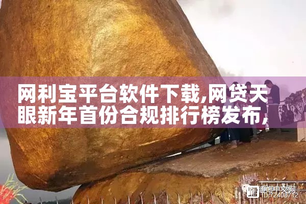 网利宝平台软件下载|MR好色