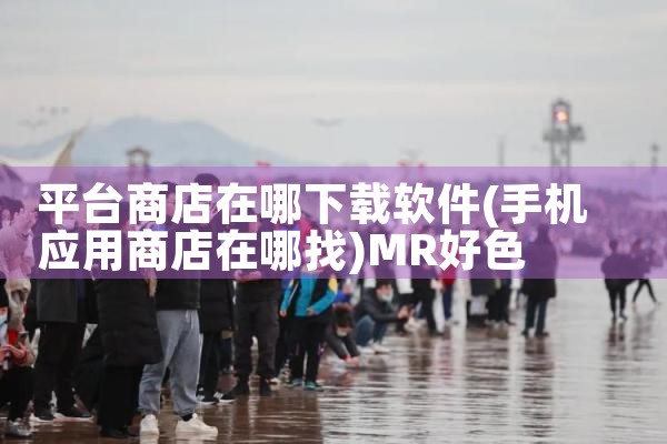 平台商店在哪下载软件|MR好色