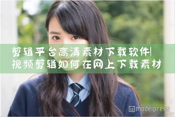 剪辑平台高清素材下载软件|P站专业版