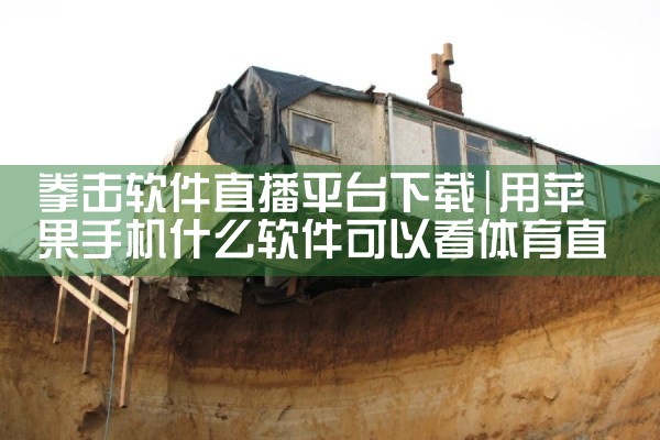 拳击软件直播平台下载|MR好色