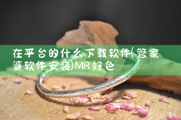 在平台的什么下载软件|MR好色