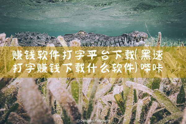 赚钱软件打字平台下载|哔咔漫画