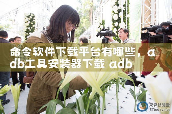 命令软件下载平台有哪些|P站专业版