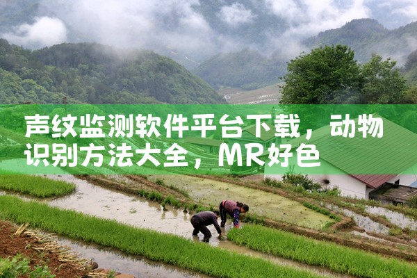 声纹监测软件平台下载|MR好色