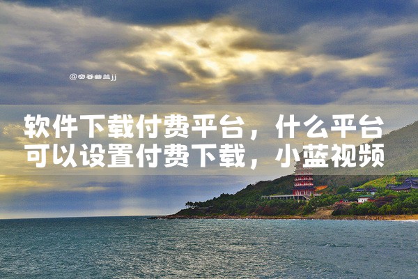 软件下载付费平台|小蓝视频