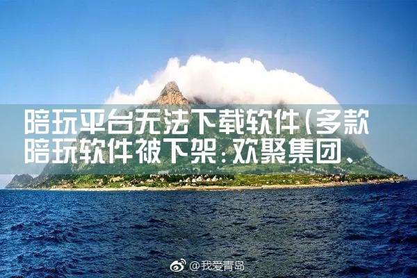 陪玩平台无法下载软件|P站专业版